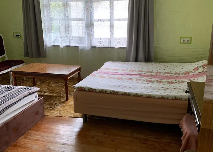 Sveciuose Pas Grazina Gasthuis Palanga