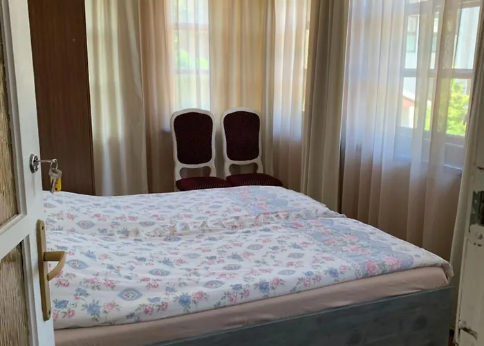 Sveciuose Pas Grazina Palanga